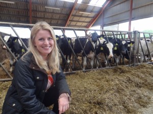 Emma McClarkin MEP with Cattle
